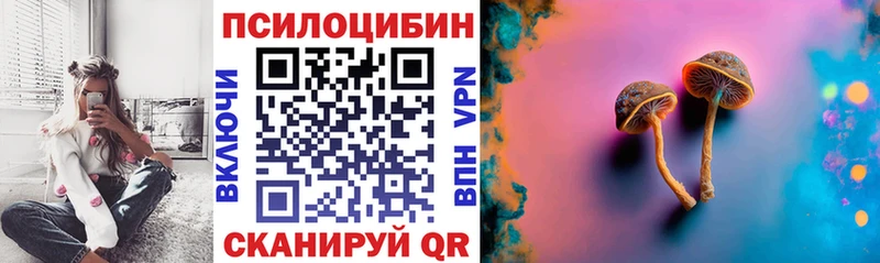 Псилоцибиновые грибы Cubensis  hydra вход  Кингисепп 