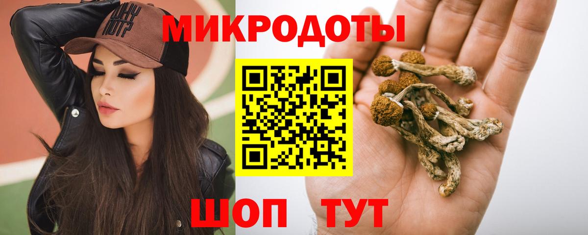 Псилоцибиновые грибы ЛСД  Вход с VPN  Кингисепп  Галлюциногенные грибы GOLDEN TEACHER 