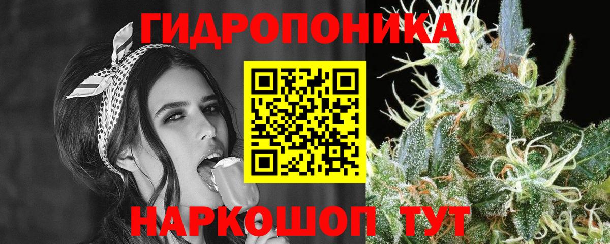 Бошки Шишки сатива Кингисепп